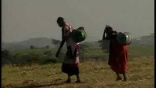 Wandering Warrior - PREVIEW