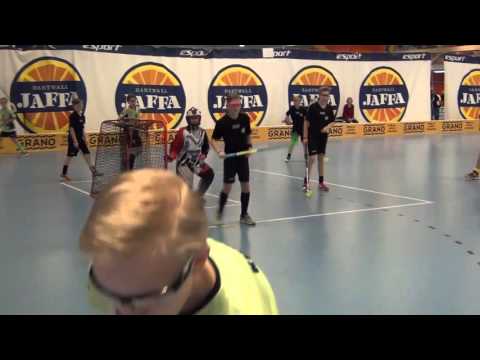 PSS P02 - Loiske02 HFC 2016