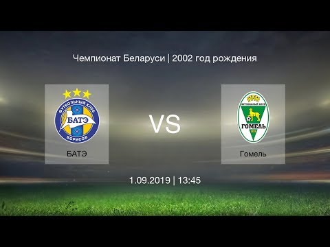 БАТЭ - Гомель | 2002