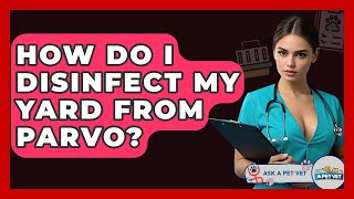 How Do I Disinfect My Yard From Parvo - Ask A Pet Vet
