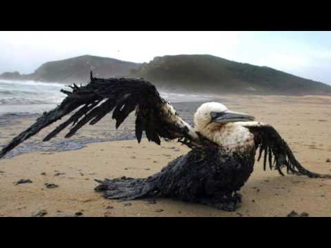 Poesie e Canzoni Rap In Sardo -TORRAI A FURRIAI -