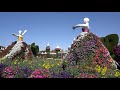 Dubai Miracle Garden 2021 4K Ems Rowlands Vlog 52