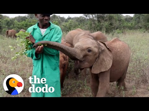 These Reserve Keepers Formed Lifelong Bonds with Elephants