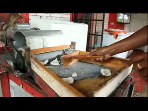 Trinidad Coconut Grating Machine