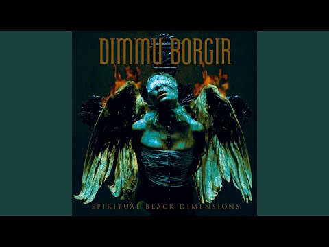 The Insight and the Catharsis