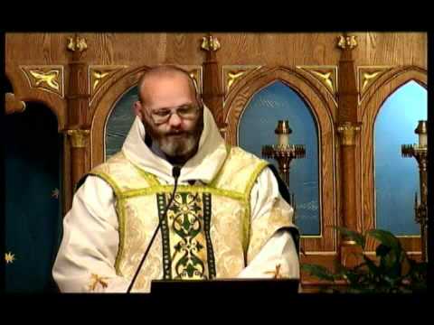 Nov 15 - Homily - Fr Dominic: Of Salt and Seasons
