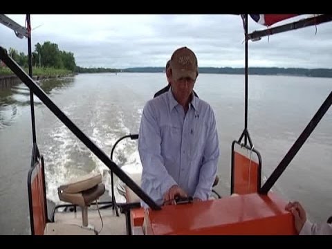 Jumping fish leap out of water by the dozens