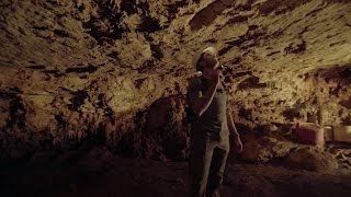 This Treasure Trove of Ice Age Fossils Came From One Texas Cave