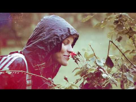 Tiếc nhớ trong mưa - Vy Anh