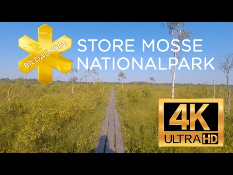 4K Virtual Hike - Store Mosse National Park - Sweden
