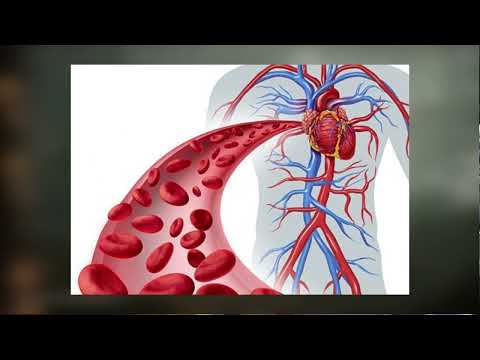 KURIOZITETE - SISTEMI I QARKULLIMIT TË GJAKUT