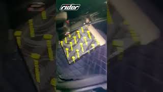 Rider
