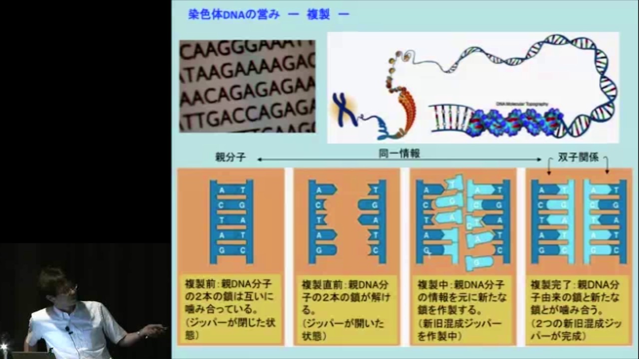 京都大学シンポジウムシリーズ「大震災後を考える」シリーズⅧ「原発事故の教訓とこれからのエネルギーシナリオを考える」「放射線の人体影響と防護：チェルノブイリの教訓をフクシマへ」松本 智裕　2011年7月