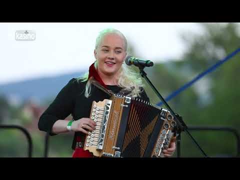 Heligonica: Koníčky moje šedé