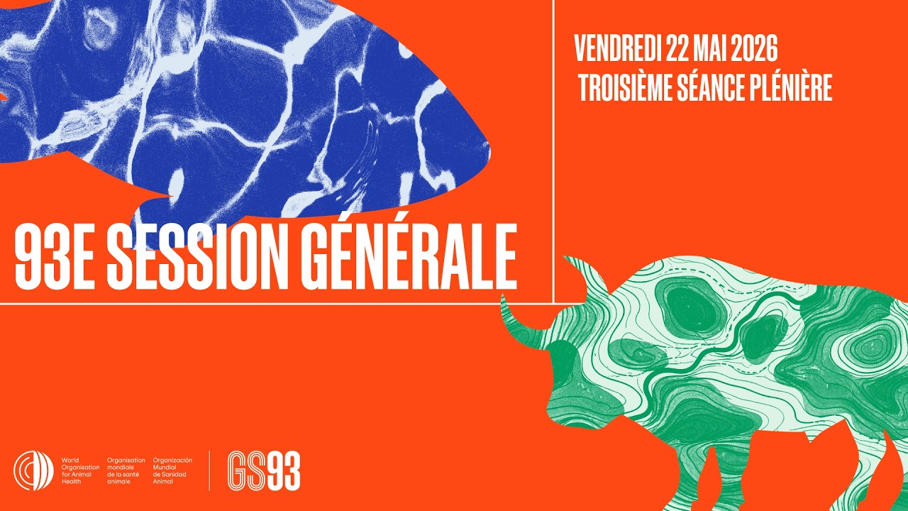 DIRECT : Activités Régionales et Adoption des Résolutions. 93e session générale #WOAHGS