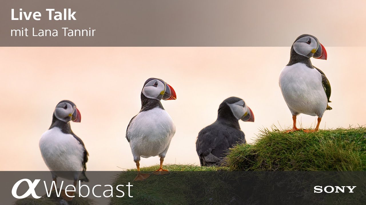 Sony Pro Photographer Live Talk