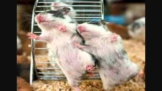 X Dreamysts - Dance Away Lover