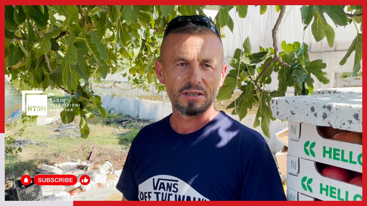 Cërrik – Fermerët e Selitës përballë sfidave, subvencionet mbajnë gjallë shpresën mes pasigurive dhe mungesës së tregut