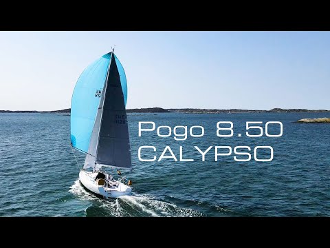 Pogo 8.50 Calypso