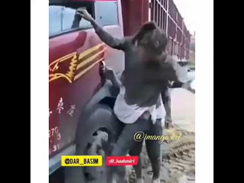 Это мир прекрасно(25)