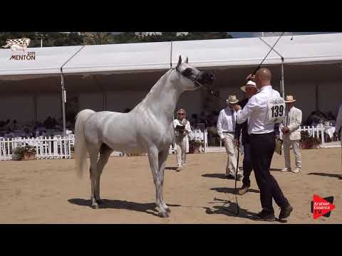 N.139 ATIUS O - Menton 2019