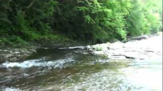 preview picture of video 'Rudolph Falls Richwood WV Spring 2011'