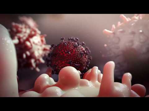 What is Human Immunodeficiency Virus (HIV)?