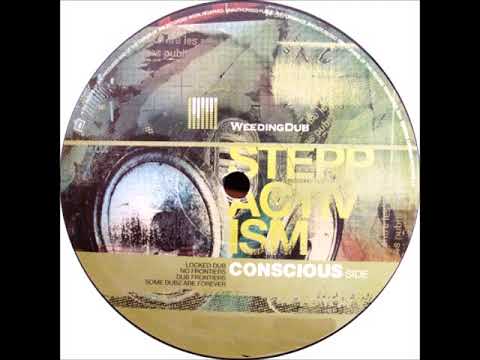 Weeding Dub feat. Naima - No Frontiers + Dub Frontiers (Remix by Vibronics)