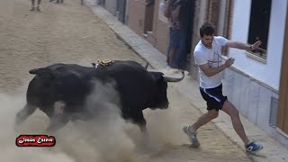 Huyyy Huyyy casi lo pilla Quart de les Valls 20-09-2016