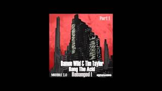 Damon Wild & Tim Taylor - Bang The Acid Rebanged! (Fanon Flowers Remix)