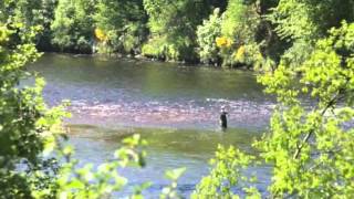 THE MUSIC OF SPEY  HEATHER ANDERSON  AND THE BANKS OF THE SPEY   PAUL ANDERSON