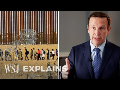 犯罪率上升、與本土人民搶工作，為何美國的「移民政治」發生如此大的變化？ (Top Democrat Explains How Immigration Politics Have Changed | WSJ)