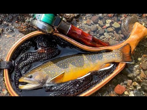 ブルックトラウトについて詳しく解説