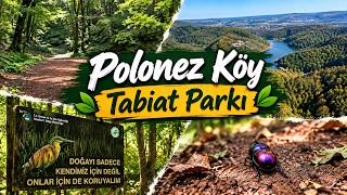 POLONEZKÖY TABİAT PARKI 🌳| BEYKOZ✅  | Biri huzur mu dedi ⁉️