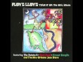 Floyd Lloyd - Spin On Your Head