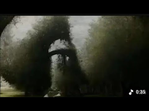 XXL XXL XXL XXL FREESTYLE 2024 |XXL 2024 | Xxwd5000xa | XXL XXL XXL XXL FREESTYLE