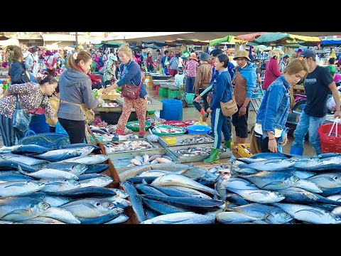 WOW! Amazing Site Distribution Fish At Chhbar Ampov Market In Phnom Penh