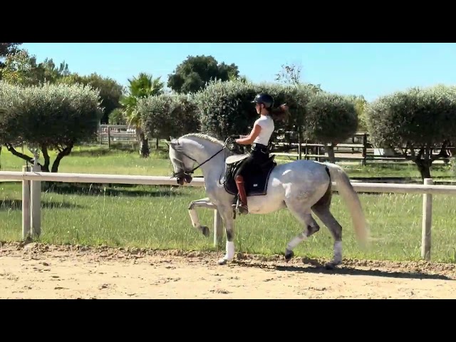 Cheval Dress&eacute;