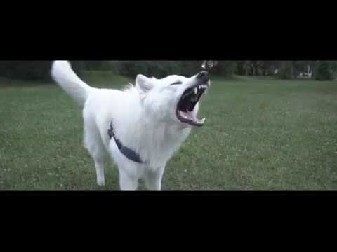 BERSON  - Z DYSTANSEM (OFFICIAL VIDEO) //BOBON