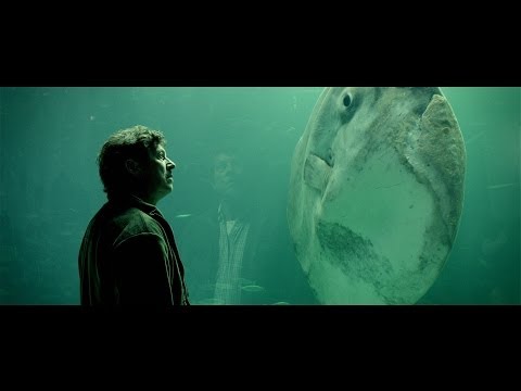 afbeelding Klumpfisken