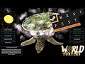 Gameplay video of World Turtles  PC