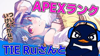 TIE Ruと久々夫婦ランク！プラチナ帯！【APEX】
