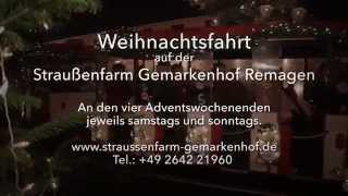 preview picture of video 'Weihnachtsfahrt Gemarkenhof Remagen'