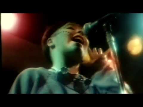 Björk : Tappi Tikarrass : 1983 Concert Clip
