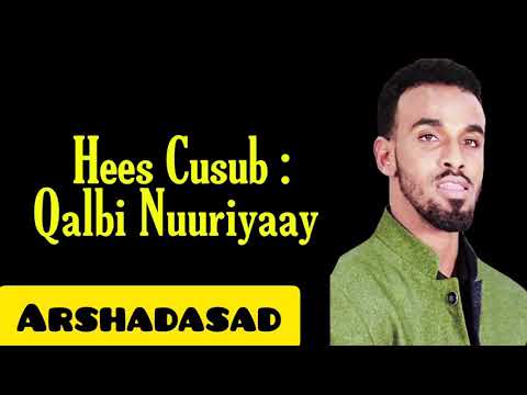 Suldaan Seeraar Hees Cusub 2020 Qalbi Nuuriyaay