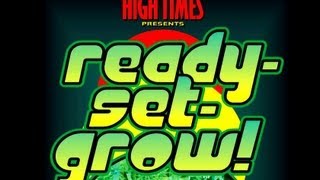 How To Grow Cannabis (Marijuana) Indoors - Vol 1 - Full Tutorial