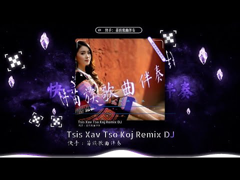 Tsis Xav Tso Koj Remix DJ - AI Cover - by苗族歌曲伴奏