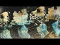 Converge - Cruel Bloom