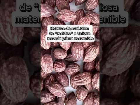 ♻️Los huesos de aceituna que tirábamos a la basura... ¡resulta que valen oro!