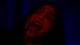 Ancient - Willow The Wisp